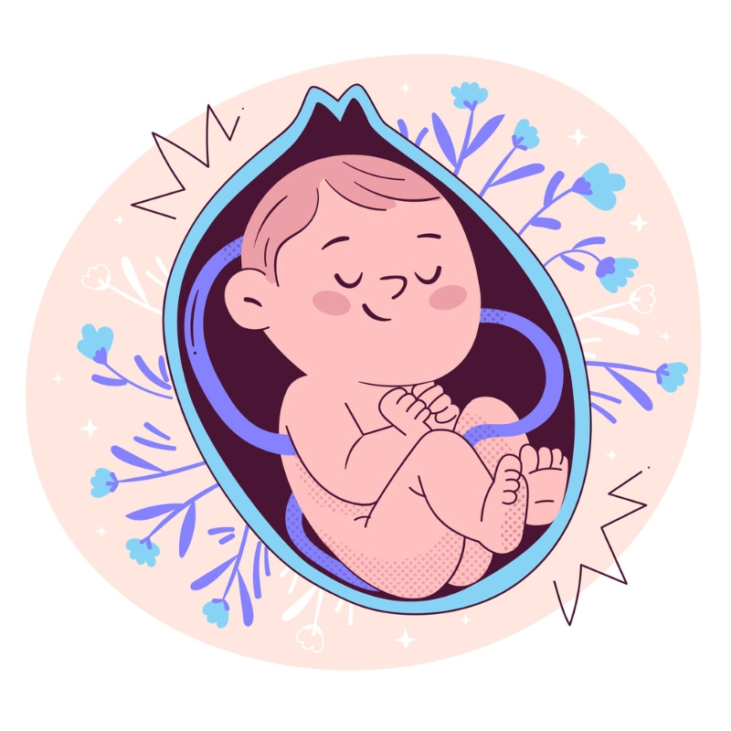 Ayurvedic fertility treatment
